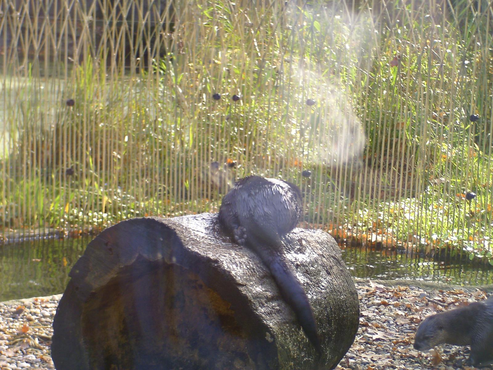 Zoom 18.10.08-069.jpg